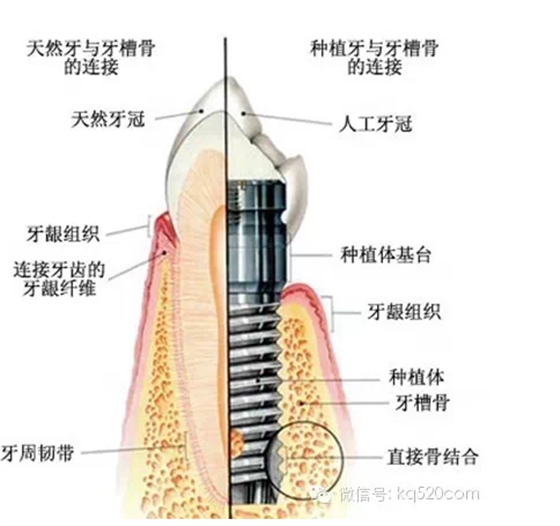 QQ圖片20150721100239.png