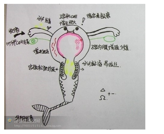 版權(quán)歸原作者