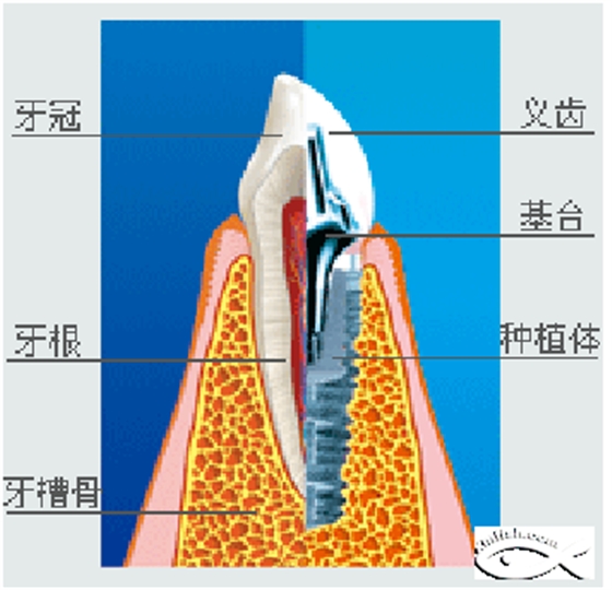 QQ圖片20150721135857.png