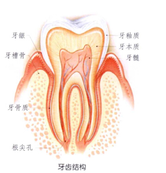 QQ圖片20150721140029.png