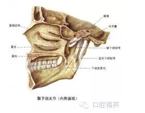 QQ圖片20150722091529.png