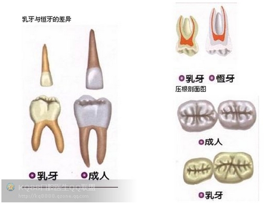 QQ圖片20150808110526.png