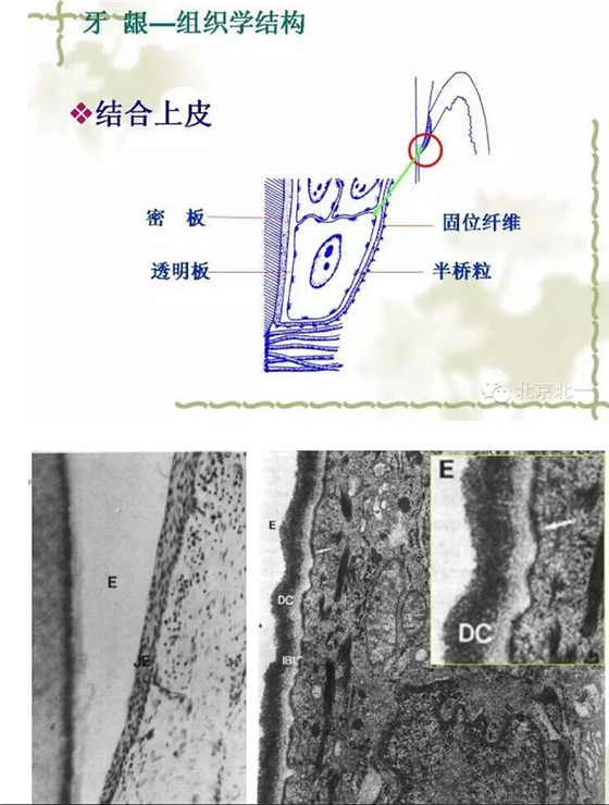 QQ圖片20150814101235.jpg