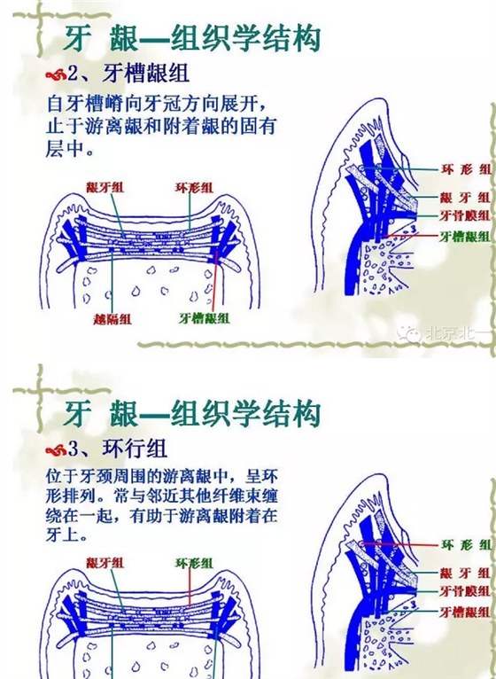 QQ圖片20150814101337.png