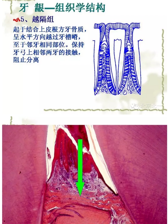 QQ圖片20150814101411.png