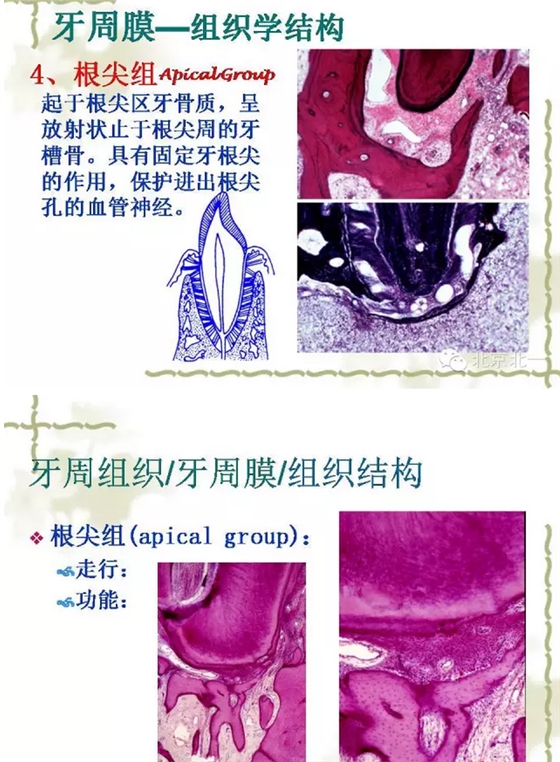 QQ圖片20150814102004.png