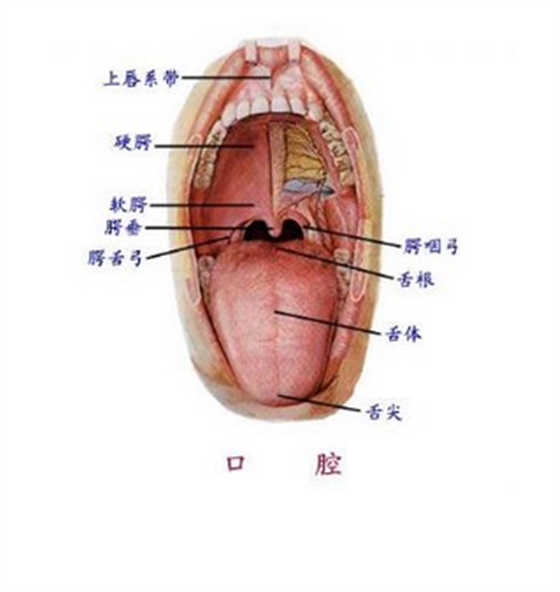 QQ圖片20150814140434.png