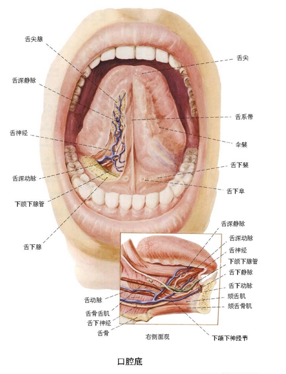 QQ圖片20150814140613.png