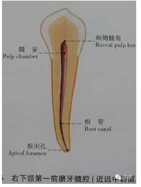 QQ圖片20150820145504.png