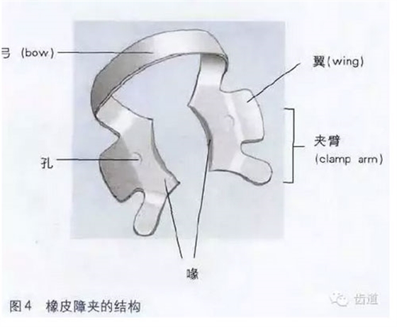 橡皮障的臨床運(yùn)用大全