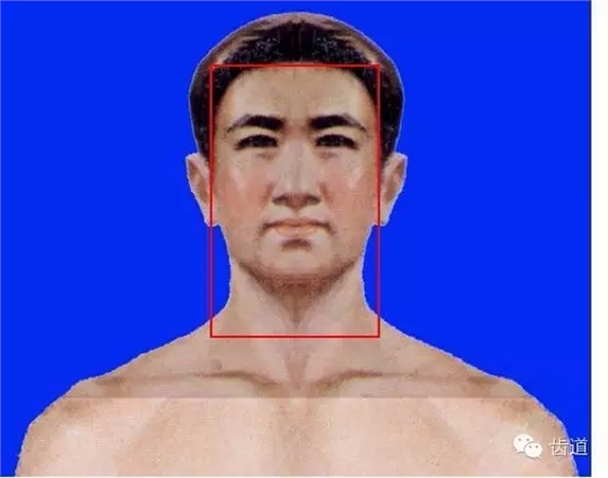 牙醫(yī)基礎(chǔ)知識：口腔頜面部應(yīng)用解剖生理