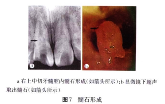 QQ截圖20160803141033.jpg