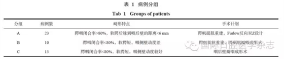 腭咽閉合不全的個體化治療策略