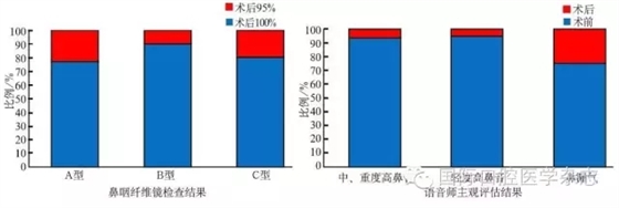 腭咽閉合不全的個體化治療策略