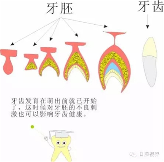 【口腔科普】愛牙從這里開始——愛牙科普知識(shí)300問（連載五）