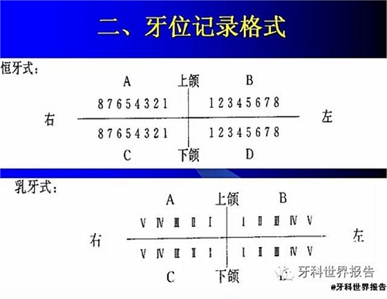 口腔的檢查與記錄  