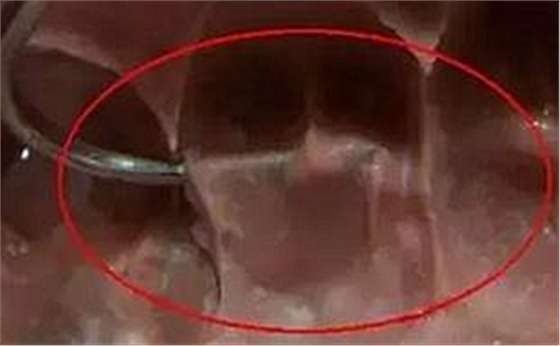 這10種情況下要重新取硅橡膠模型   