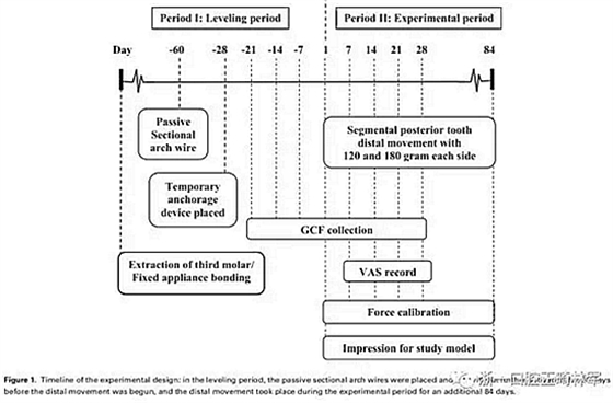正畸文獻(xiàn)閱讀-兩種不同矯治力下上頜后牙段遠(yuǎn)移的生化與臨床比較