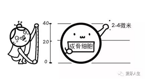 如何選擇種植牙，給《患者》推薦這篇文章就足矣