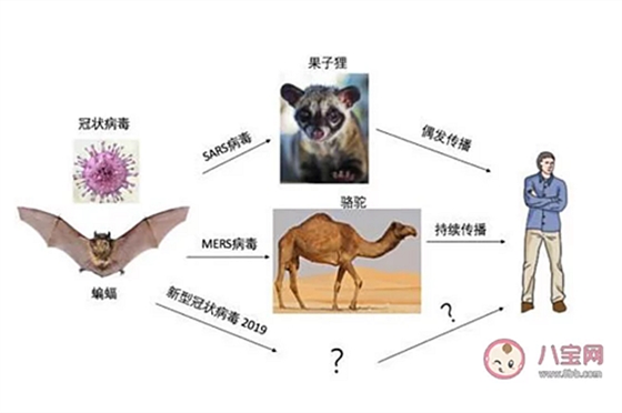 新型冠狀病毒感染了一定會發(fā)熱嗎？新型冠狀病毒前期的癥狀有哪些？