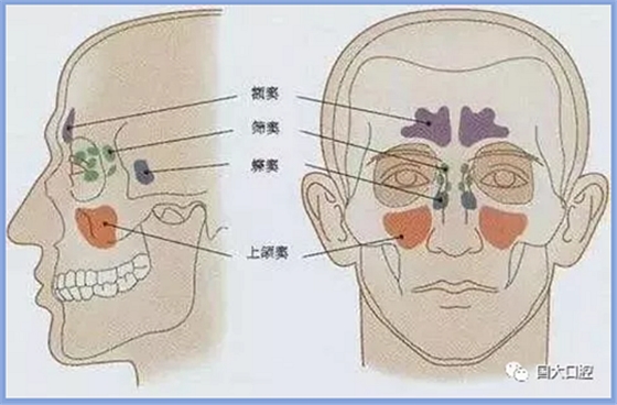 疫情期間，種植科突發(fā)狀況居家處理建議