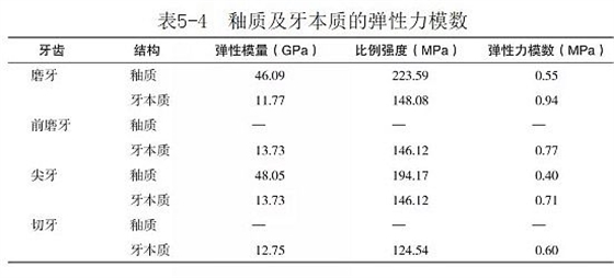 （第八十六期）牙體組織的基本力學性能