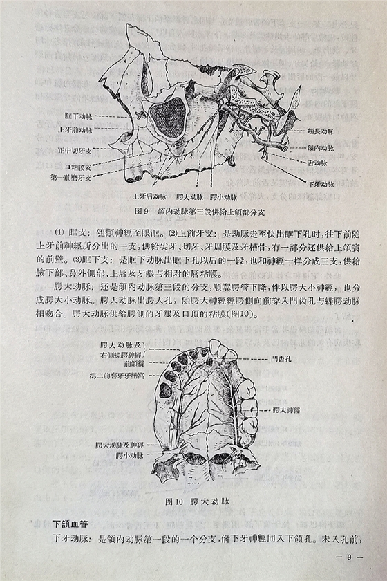 《實用拔牙學(xué)》一級教授陳華主編