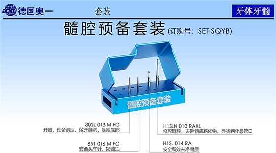 德國(guó)奧一髓腔預(yù)備套裝