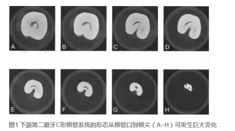 QQ圖片20150717173354.png