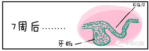 QQ圖片20150720090513.png