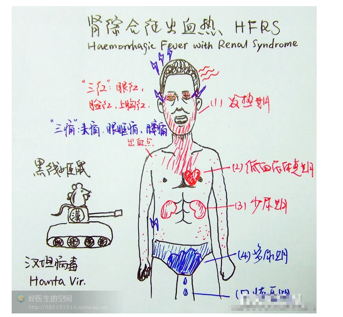 版權(quán)歸原作者