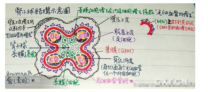 版權(quán)歸原作者