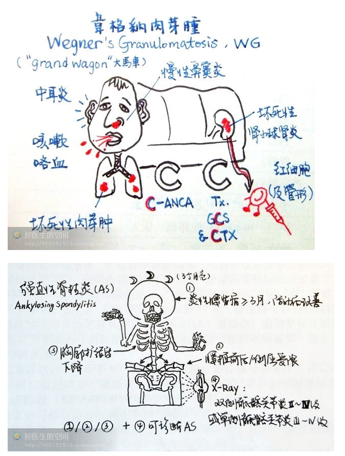 版權(quán)歸原作者