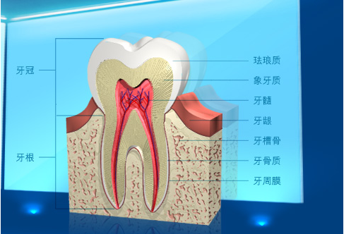 QQ圖片20150721135947.png