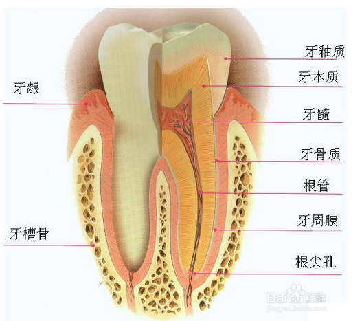 QQ圖片20150721164958.png