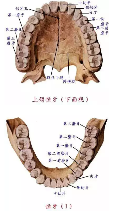 QQ圖片20150731101955.png