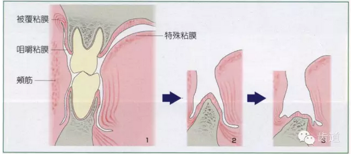 QQ圖片20150808151228.png