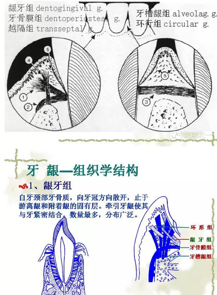 QQ圖片20150814101319.png