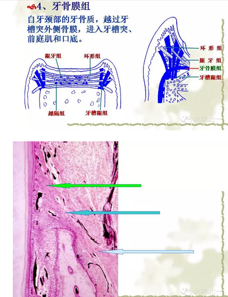 QQ圖片20150814101354.png