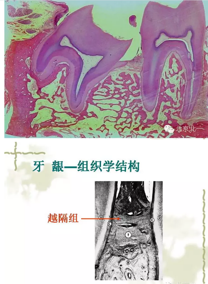 QQ圖片20150814101434.png