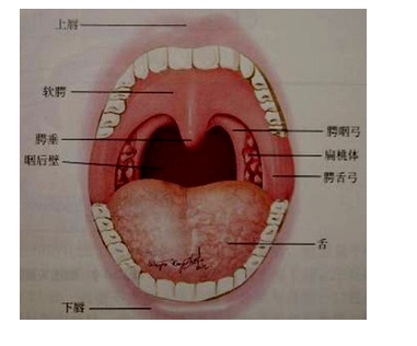 QQ圖片20150814140631.png