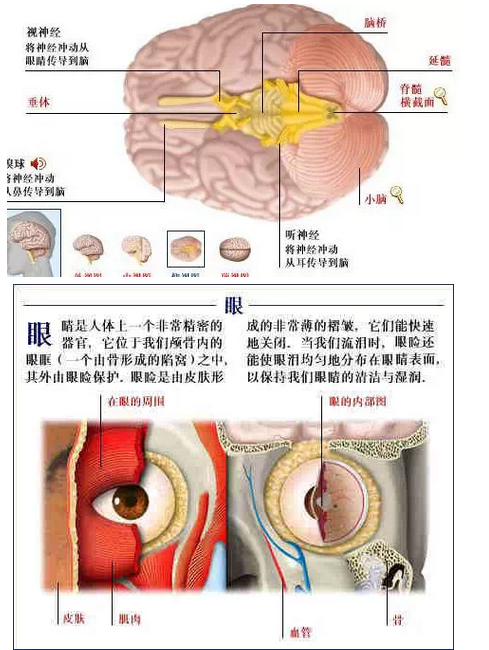 QQ圖片20150815170630.png