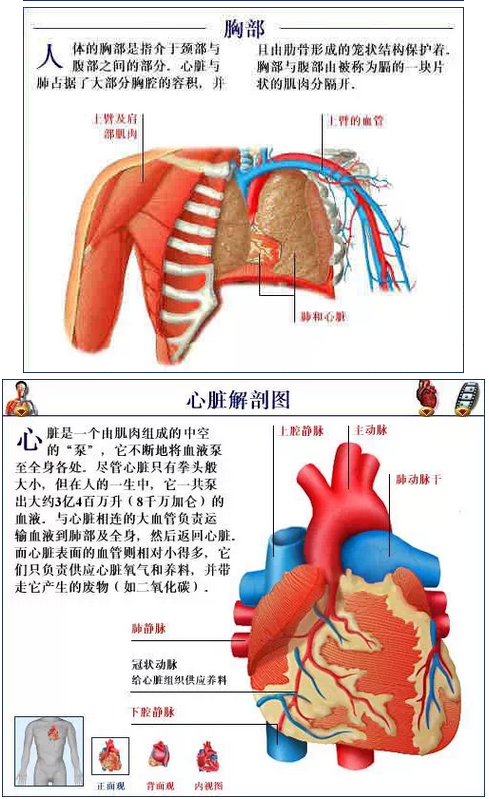 QQ圖片20150815170855.png