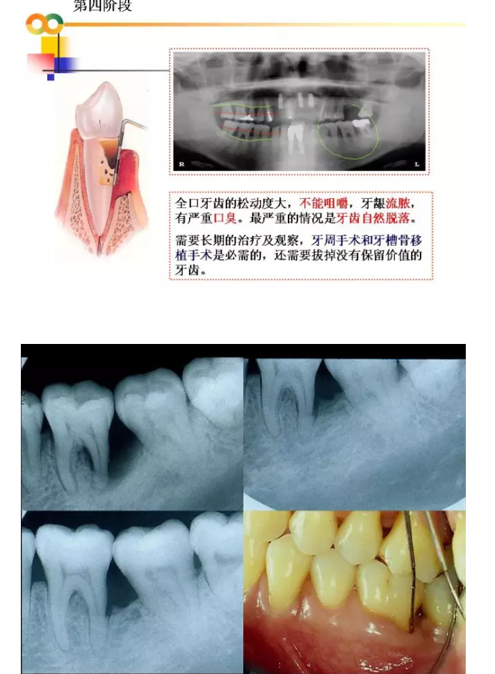 QQ圖片20150819094433.png