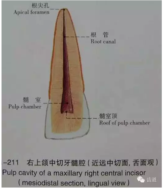 QQ圖片20150820144855.png