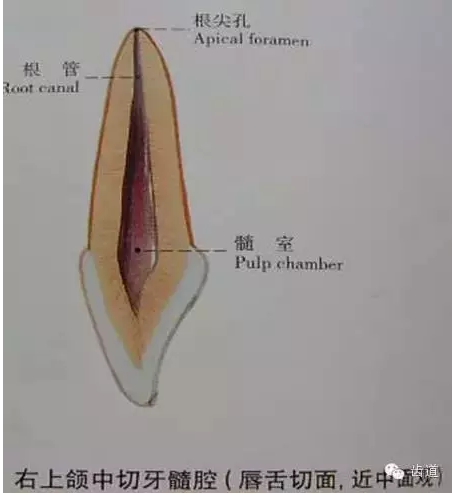 QQ圖片20150820144921.png