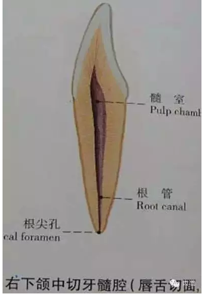 QQ圖片20150820144954.png