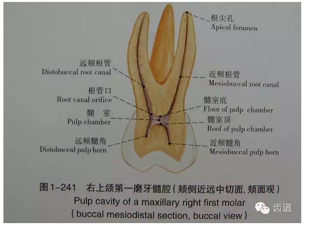 QQ圖片20150820145808.png