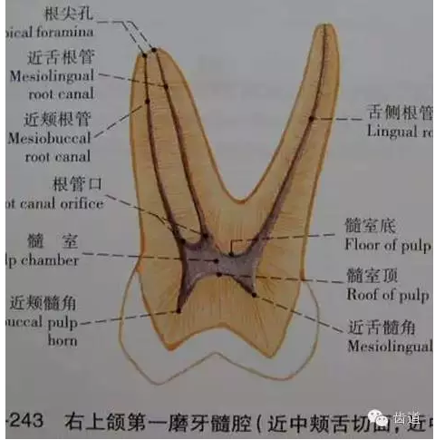 QQ圖片20150820145819.png