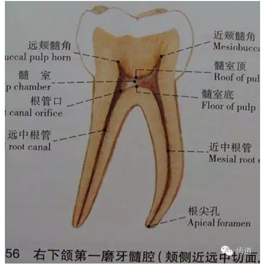 QQ圖片20150820145902.png